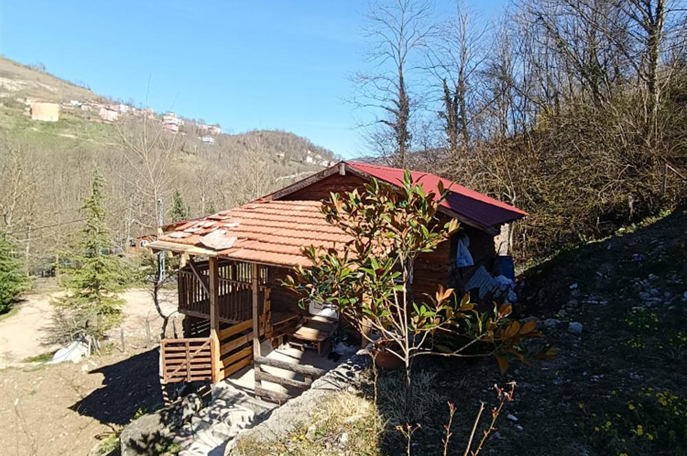 🌿 ORDU AYBASTI’DA DEREYE SIFIR, AHŞAP EVLİ 500 m² SATILIK ARSA 🌿