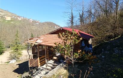 🌿 ORDU AYBASTI’DA DEREYE SIFIR, AHŞAP EVLİ 500 m² SATILIK ARSA 🌿