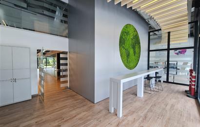 Vadistanbul Satılık Dükkan 1000m2 Porta Vadi