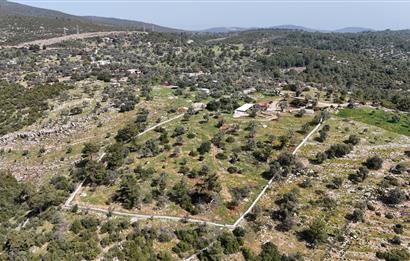 Bodrum Kızılağaç satılık arazi (Çiftlik,  yoga merkezi, özel yaşam alanına uygun)