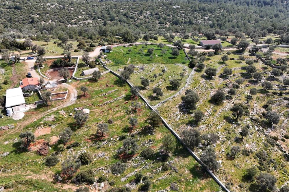 Bodrum Kızılağaç satılık arazi (Çiftlik,  yoga merkezi, özel yaşam alanına uygun)