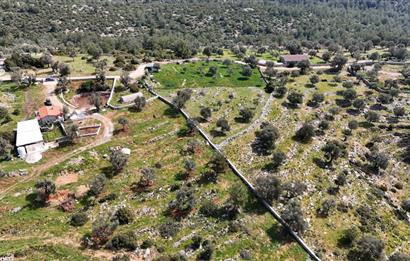 Bodrum Kızılağaç satılık arazi (Çiftlik,  yoga merkezi, özel yaşam alanına uygun)