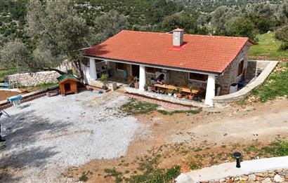 Bodrum Kızılağaç satılık arazi (Çiftlik,  yoga merkezi, özel yaşam alanına uygun)