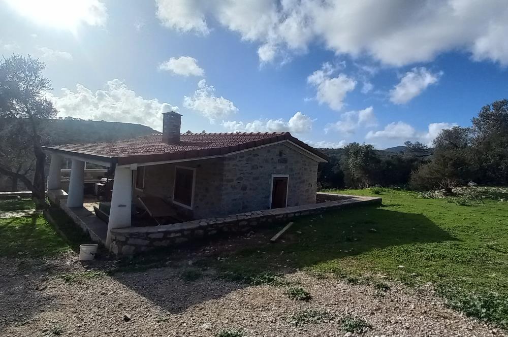 Bodrum Kızılağaç satılık arazi (Çiftlik,  yoga merkezi, özel yaşam alanına uygun)