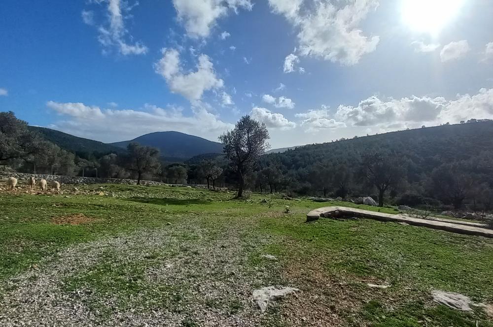 Bodrum Kızılağaç satılık arazi (Çiftlik,  yoga merkezi, özel yaşam alanına uygun)