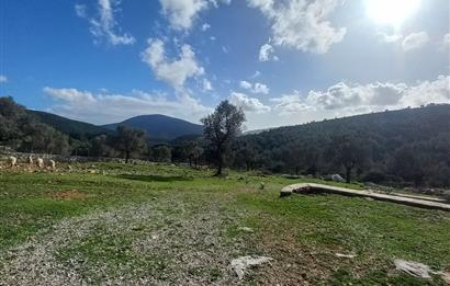 Bodrum Kızılağaç satılık arazi (Çiftlik,  yoga merkezi, özel yaşam alanına uygun)