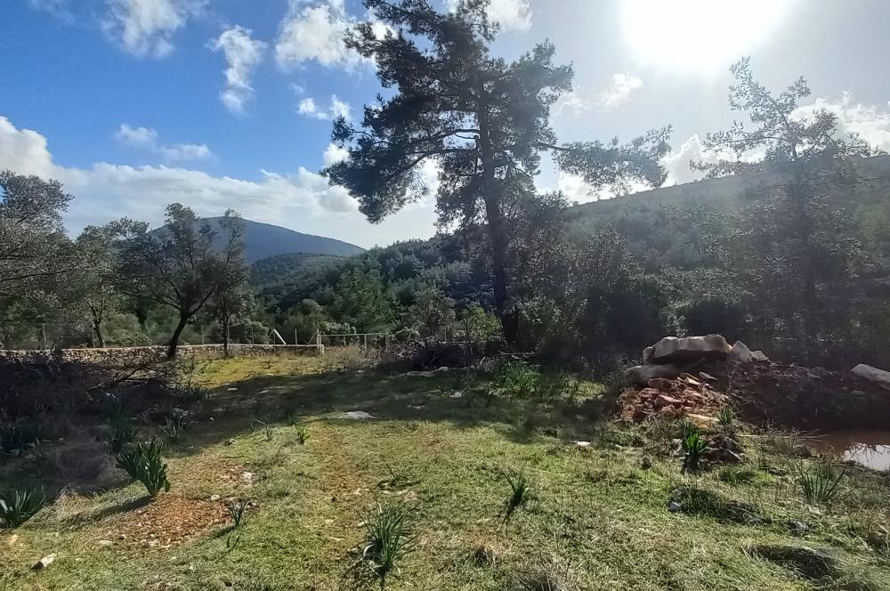 Bodrum Kızılağaç satılık arazi (Çiftlik,  yoga merkezi, özel yaşam alanına uygun)