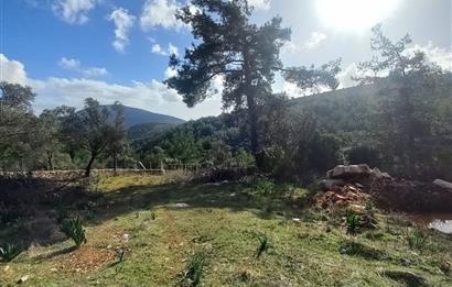 Bodrum Kızılağaç satılık arazi (Çiftlik,  yoga merkezi, özel yaşam alanına uygun)