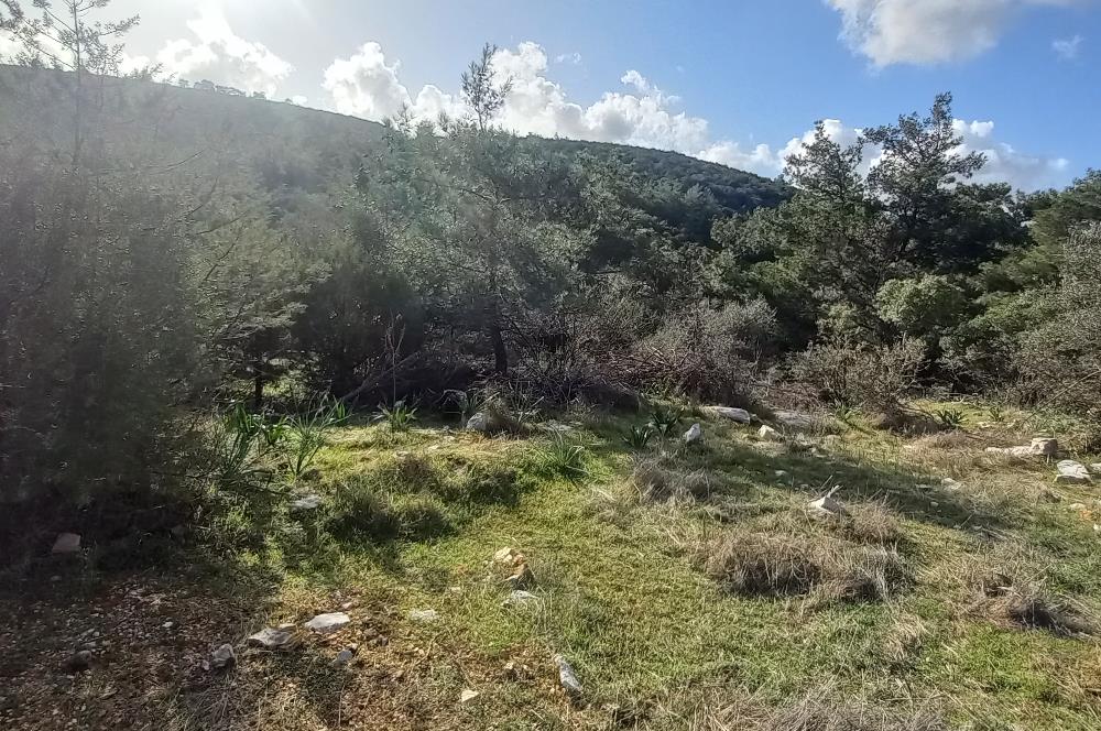 Bodrum Kızılağaç satılık arazi (Çiftlik,  yoga merkezi, özel yaşam alanına uygun)