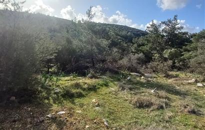 Bodrum Kızılağaç satılık arazi (Çiftlik,  yoga merkezi, özel yaşam alanına uygun)