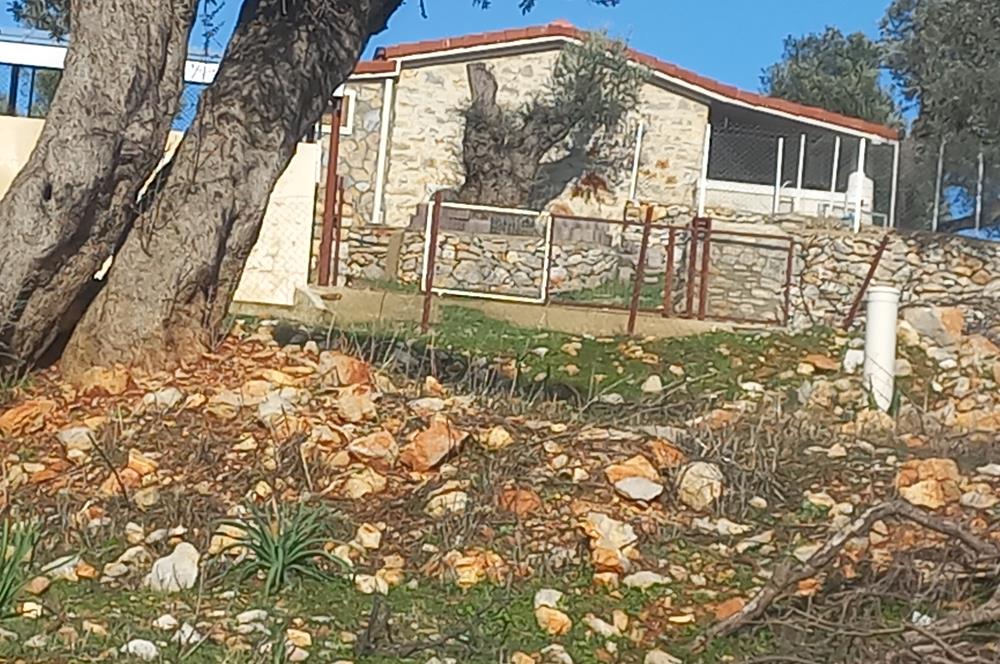 Bodrum Kızılağaç satılık arazi (Çiftlik,  yoga merkezi, özel yaşam alanına uygun)