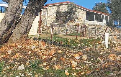 Bodrum Kızılağaç satılık arazi (Çiftlik,  yoga merkezi, özel yaşam alanına uygun)