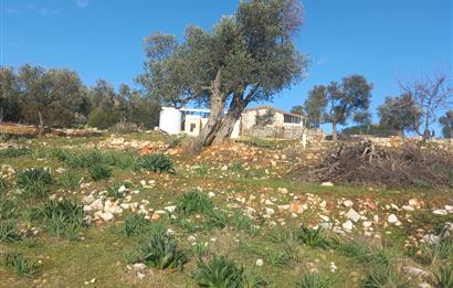 Bodrum Kızılağaç satılık arazi (Çiftlik,  yoga merkezi, özel yaşam alanına uygun)