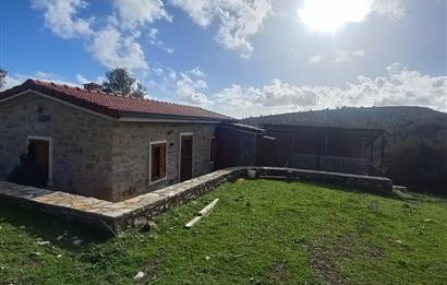 Bodrum Kızılağaç satılık arazi (Çiftlik,  yoga merkezi, özel yaşam alanına uygun)