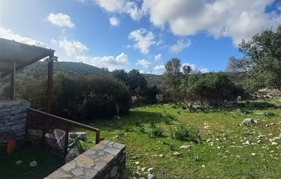 Bodrum Kızılağaç satılık arazi (Çiftlik,  yoga merkezi, özel yaşam alanına uygun)