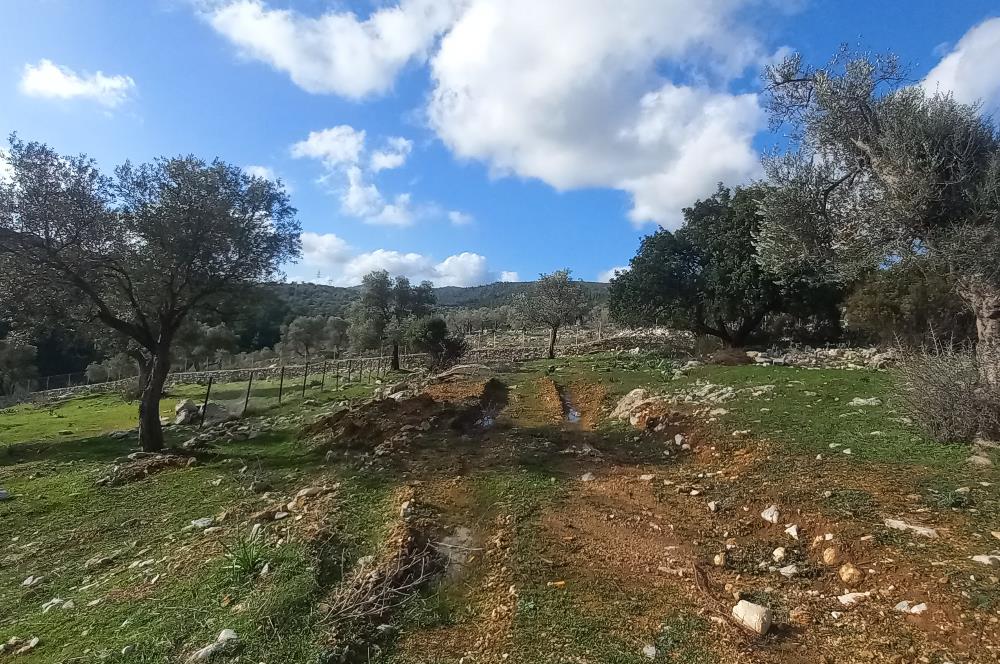 Bodrum Kızılağaç satılık arazi (Çiftlik,  yoga merkezi, özel yaşam alanına uygun)