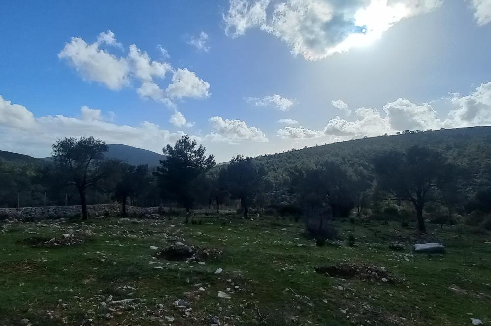 Bodrum Kızılağaç satılık arazi (Çiftlik,  yoga merkezi, özel yaşam alanına uygun)