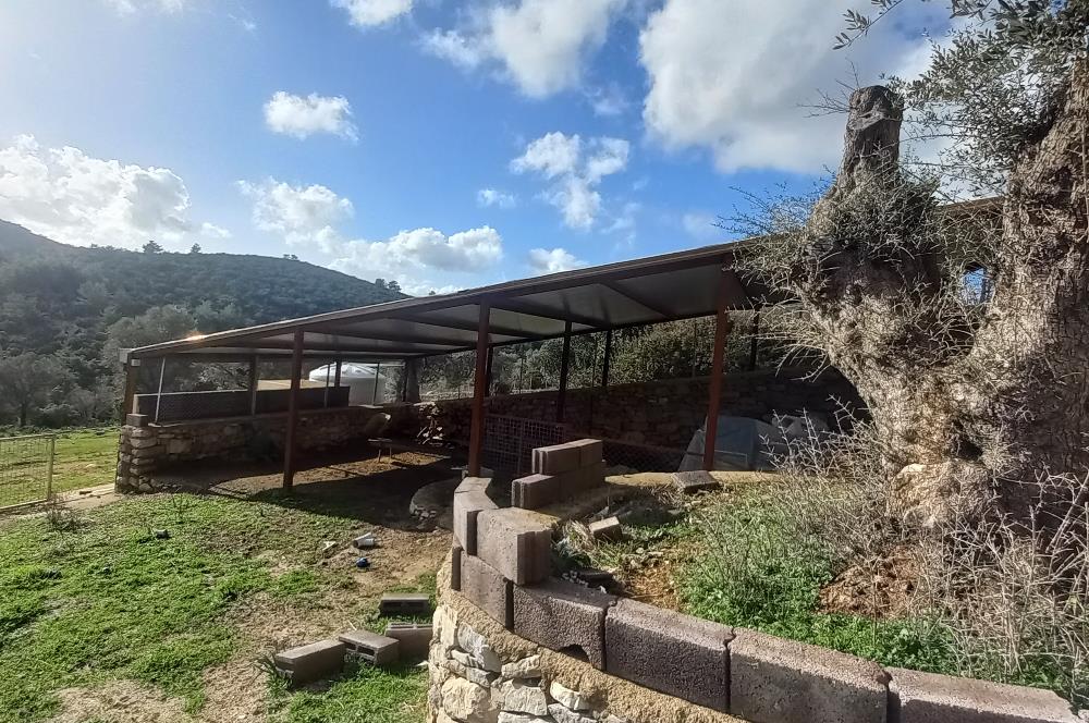 Bodrum Kızılağaç satılık arazi (Çiftlik,  yoga merkezi, özel yaşam alanına uygun)