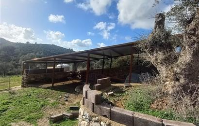 Bodrum Kızılağaç satılık arazi (Çiftlik,  yoga merkezi, özel yaşam alanına uygun)