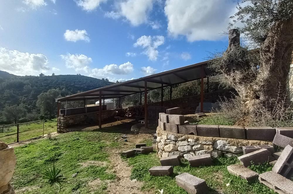 Bodrum Kızılağaç satılık arazi (Çiftlik,  yoga merkezi, özel yaşam alanına uygun)