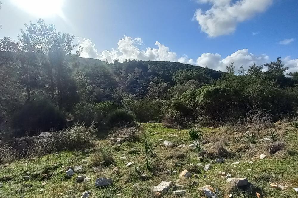 Bodrum Kızılağaç satılık arazi (Çiftlik,  yoga merkezi, özel yaşam alanına uygun)