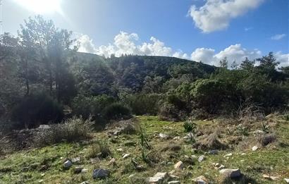 Bodrum Kızılağaç satılık arazi (Çiftlik,  yoga merkezi, özel yaşam alanına uygun)