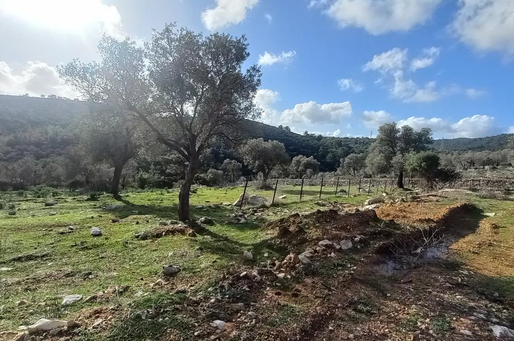 Bodrum Kızılağaç satılık arazi (Çiftlik,  yoga merkezi, özel yaşam alanına uygun)