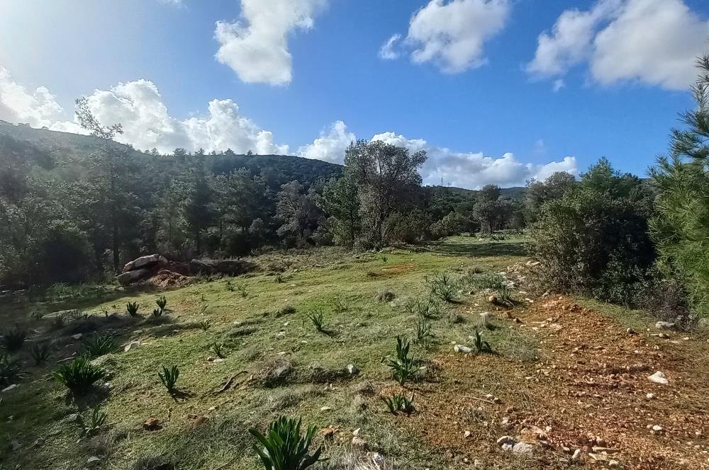 Bodrum Kızılağaç satılık arazi (Çiftlik,  yoga merkezi, özel yaşam alanına uygun)
