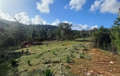 Bodrum Kızılağaç satılık arazi (Çiftlik,  yoga merkezi, özel yaşam alanına uygun)