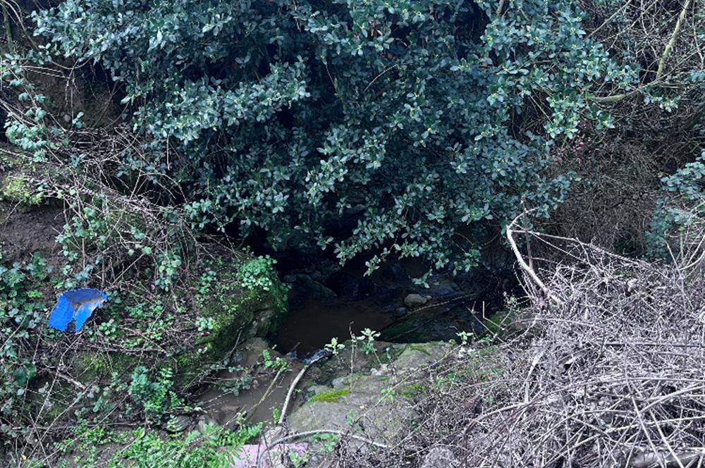 C21 Cius ; K.Kumla Mah.de Deniz Manzaralı Satılık Zeytinlik