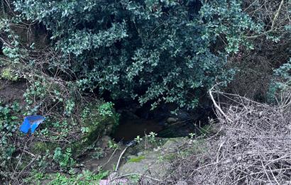 C21 Cius ; K.Kumla Mah.de Deniz Manzaralı Satılık Zeytinlik