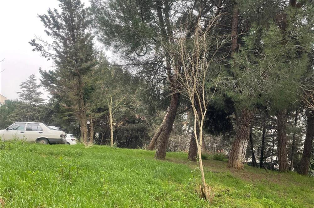 KURTKÖY ŞEYHLİ KİPTAŞ HİLAL KONUTLARI SATILIK 3+1 DAİRE