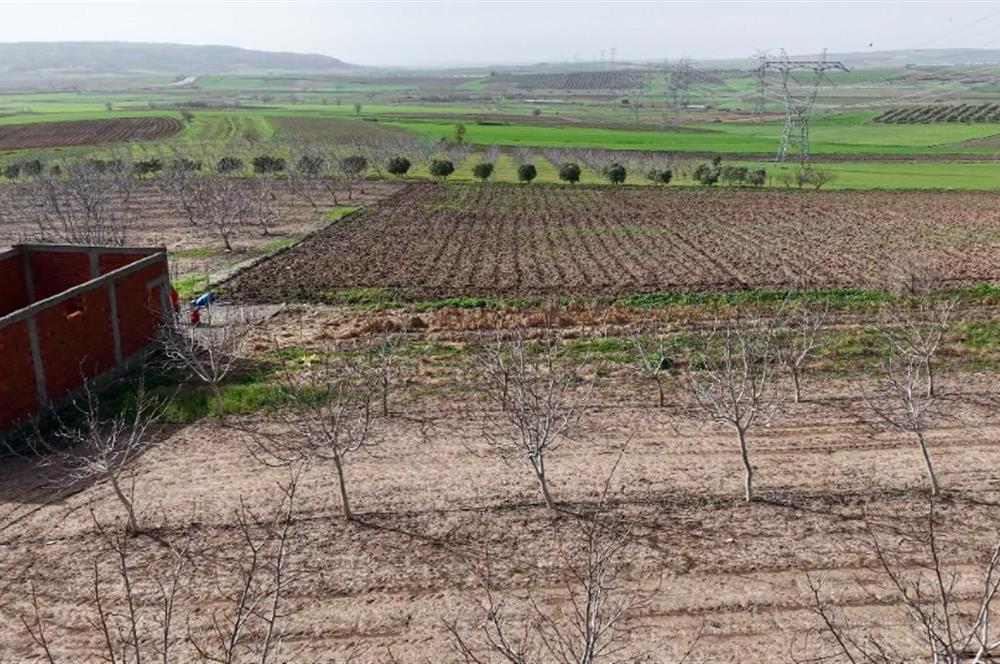 BANDIRMA YENİYENİCE MH. SATILIK 7788 M2, 2 KAT RUHSATLI BAĞ EVİ