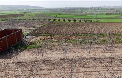 BANDIRMA YENİYENİCE MH. SATILIK 7788 M2, 2 KAT RUHSATLI BAĞ EVİ