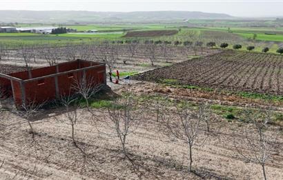 BANDIRMA YENİYENİCE MH. SATILIK 7788 M2, 2 KAT RUHSATLI BAĞ EVİ