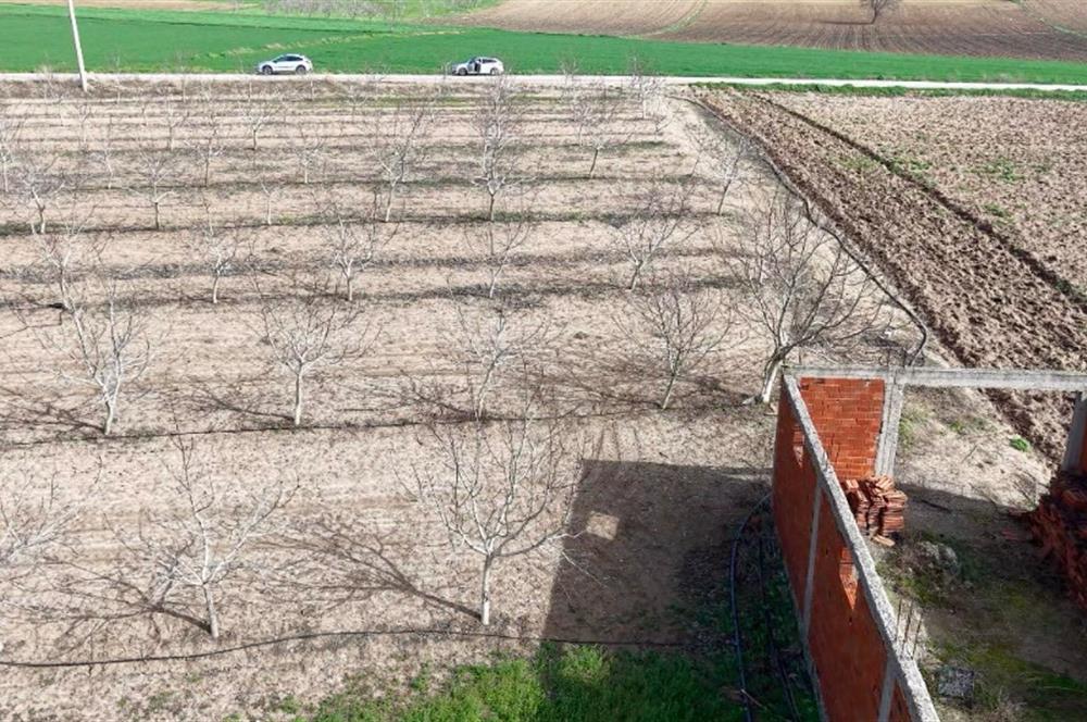 BANDIRMA YENİYENİCE MH. SATILIK 7788 M2, 2 KAT RUHSATLI BAĞ EVİ