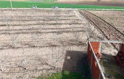 BANDIRMA YENİYENİCE MH. SATILIK 7788 M2, 2 KAT RUHSATLI BAĞ EVİ