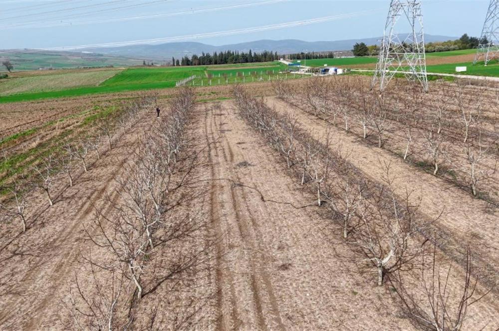 BANDIRMA YENİYENİCE MH. SATILIK 7788 M2, 2 KAT RUHSATLI BAĞ EVİ