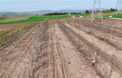 BANDIRMA YENİYENİCE MH. SATILIK 7788 M2, 2 KAT RUHSATLI BAĞ EVİ