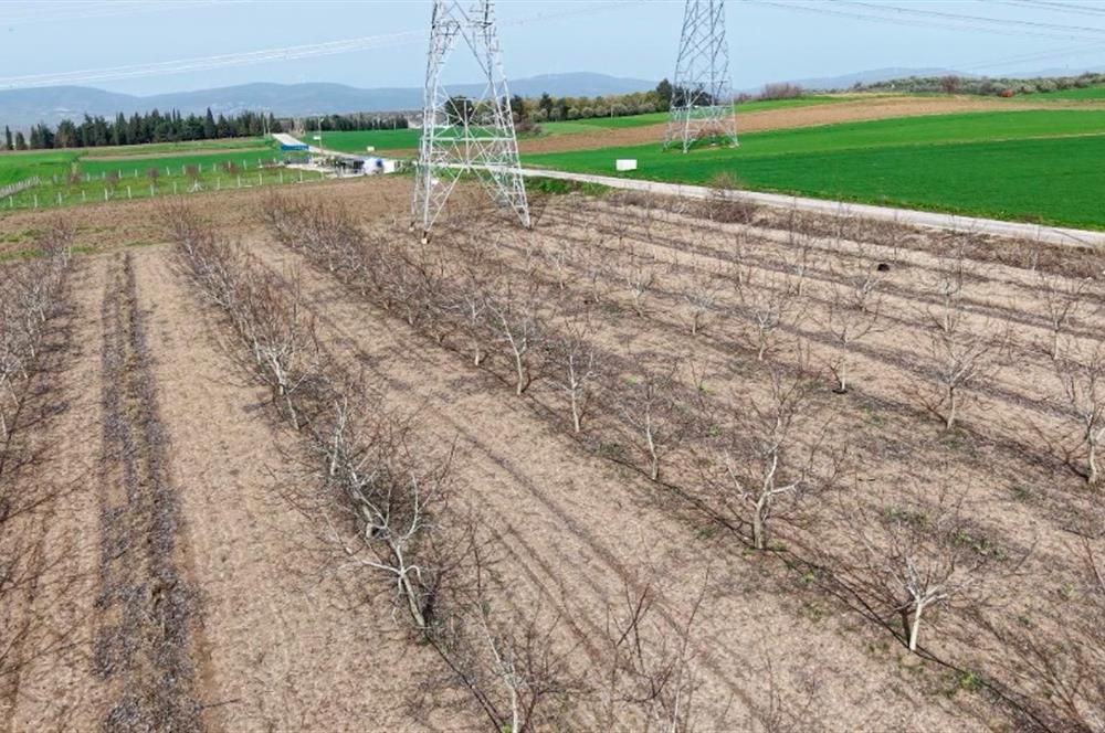 BANDIRMA YENİYENİCE MH. SATILIK 7788 M2, 2 KAT RUHSATLI BAĞ EVİ