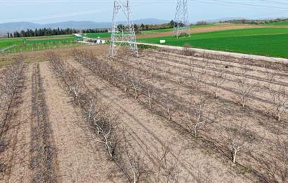 BANDIRMA YENİYENİCE MH. SATILIK 7788 M2, 2 KAT RUHSATLI BAĞ EVİ