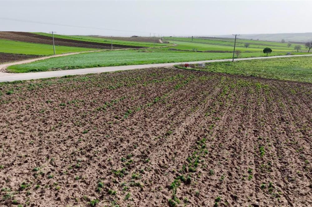 BANDIRMA YENİYENİCE MH. SATILIK 7788 M2, 2 KAT RUHSATLI BAĞ EVİ