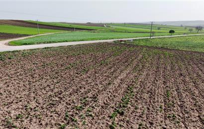 BANDIRMA YENİYENİCE MH. SATILIK 7788 M2, 2 KAT RUHSATLI BAĞ EVİ