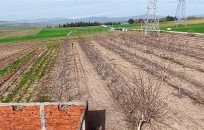 BANDIRMA YENİYENİCE MH. SATILIK 7788 M2, 2 KAT RUHSATLI BAĞ EVİ