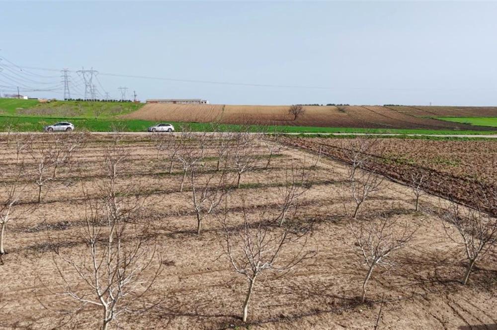 BANDIRMA YENİYENİCE MH. SATILIK 7788 M2, 2 KAT RUHSATLI BAĞ EVİ