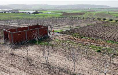 BANDIRMA YENİYENİCE MH. SATILIK 7788 M2, 2 KAT RUHSATLI BAĞ EVİ