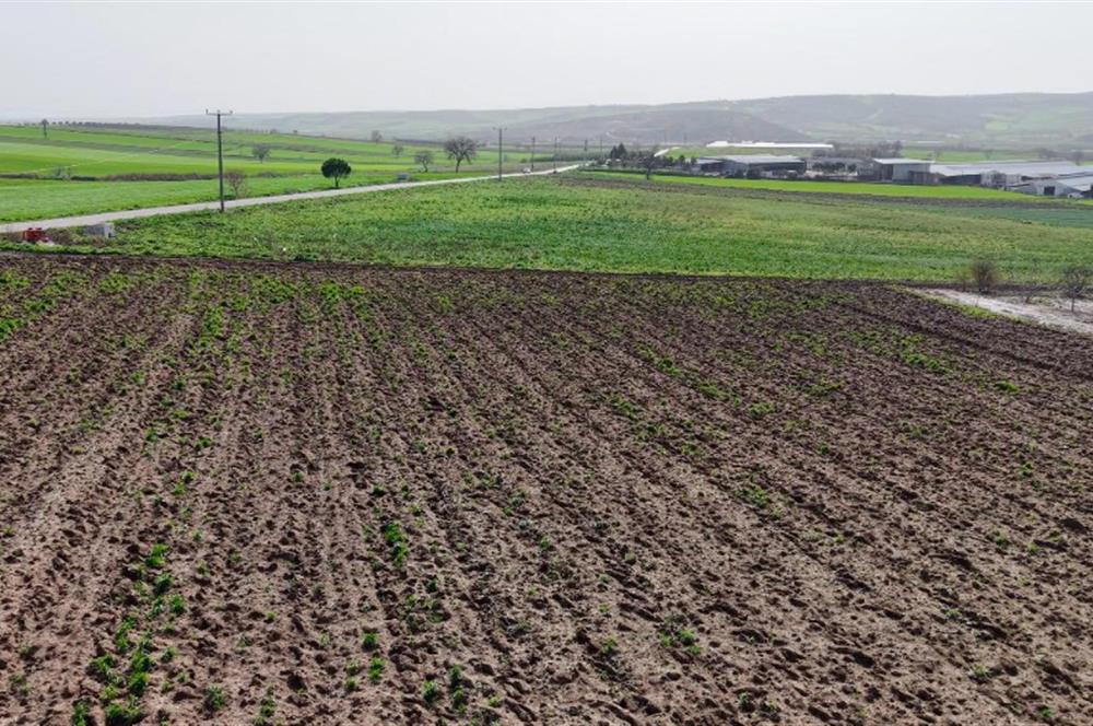 BANDIRMA YENİYENİCE MH. SATILIK 7788 M2, 2 KAT RUHSATLI BAĞ EVİ