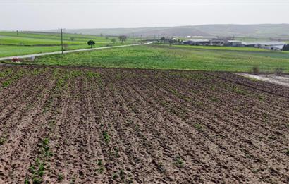 BANDIRMA YENİYENİCE MH. SATILIK 7788 M2, 2 KAT RUHSATLI BAĞ EVİ