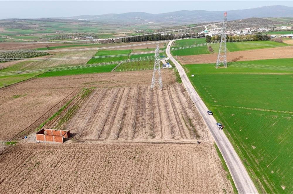 BANDIRMA YENİYENİCE MH. SATILIK 7788 M2, 2 KAT RUHSATLI BAĞ EVİ