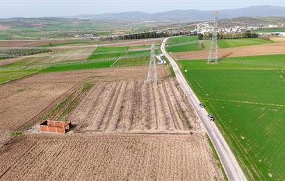 BANDIRMA YENİYENİCE MH. SATILIK 7788 M2, 2 KAT RUHSATLI BAĞ EVİ